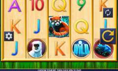 Play Red Panda Paradise