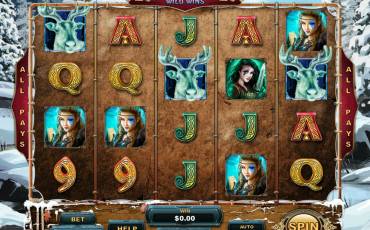 Reindeer Wild Wins slot online