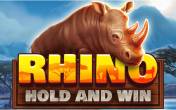 Rhino Hold and Win slot