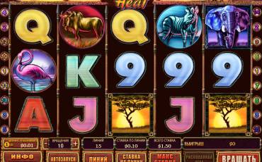 Safari Heat slot online