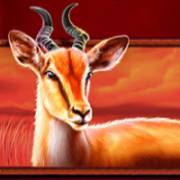 Safari King: Antelope