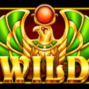 Secrets of Cairo: Wild