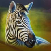 Serengeti Kings: Zebra