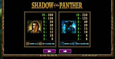 Shadow of the Panther: 