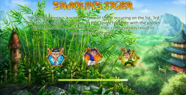 Shaolin’s Tiger: 