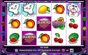 She’s a Rich Girl slot online