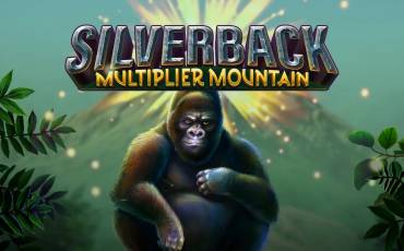 Silverback: Multiplier Mountain