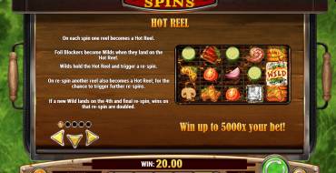 Sizzling Spins: Bonus games