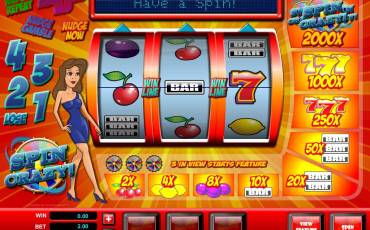 Spin Crazy slot online