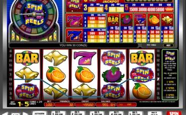 Spin or Reels slot online