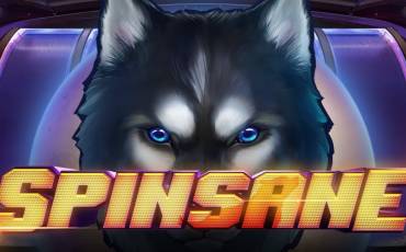 Spinsane slot online