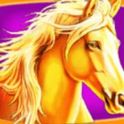 Stallion Kingdom: Horse