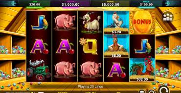 Stellar Cash Chicken Fox 5x Skillstar: Slot machine