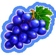 Stoned Joker 5: Grapes