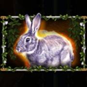 Story Of Gaia: Hare