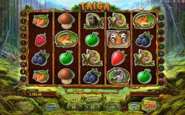 Taiga slot online