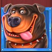 The Dog House: Rottweiler