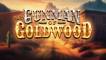 Play The Gunman of Goldwood slot