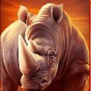 The Ultimate 5: Rhinoceros