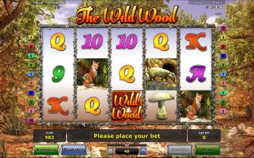 The Wild Wood slot online