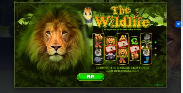 The Wildlife: Welcome Screen