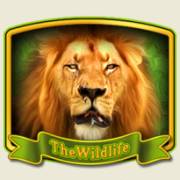 The Wildlife: Wild