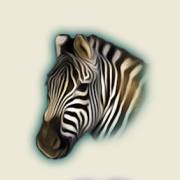 The Wildlife: Zebra