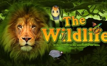 The Wildlife slot online