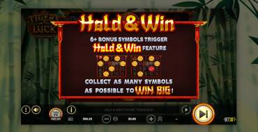 Tiger's Luck Hold&Win: Free spins and/or respins