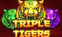 Play Triple Tigers