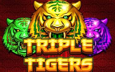 Triple Tigers slot online