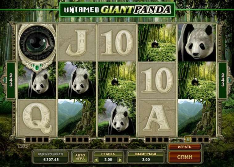 Play Untamed Giant Panda slot
