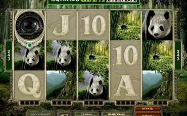 Untamed Giant Panda slot online