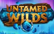 Untamed Wilds slot