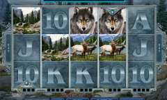 Play Untamed Wolf Pack