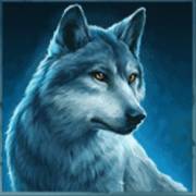 Viking Fortune: Hold and Win: Wolf