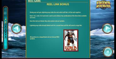 Viking's Ransom: Reel Link Bonus