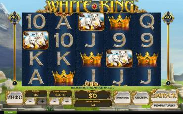 White King slot online