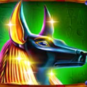 Wild Anubis: Wild