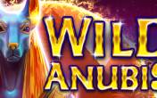 Wild Anubis slot