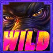 Wild Ape: Gorilla Eyes