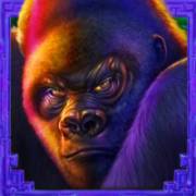 Wild Ape: Monkey