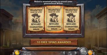 Wild Bandolier: Free spins