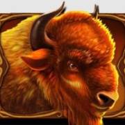 Wild Bison Charge: The bison symbol