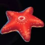 Wild Depths: Sea star