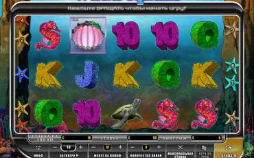 Wild Dolphins slot online