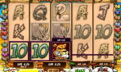 Play Wild Gambler