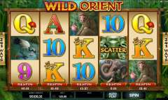 Play Wild Orient