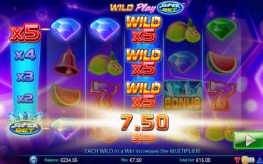 Wild Play: Super Bet slot online