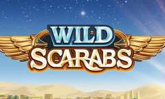 Play Wild Scarabs